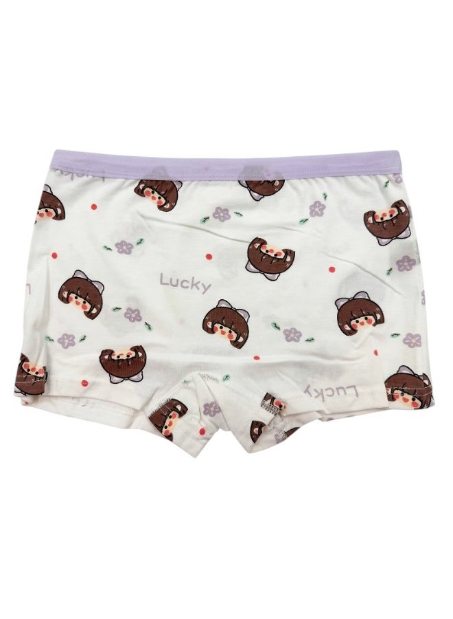 Bidani Pure Cotton Soft Comfort Panties – 4 PC Girl - Image 2