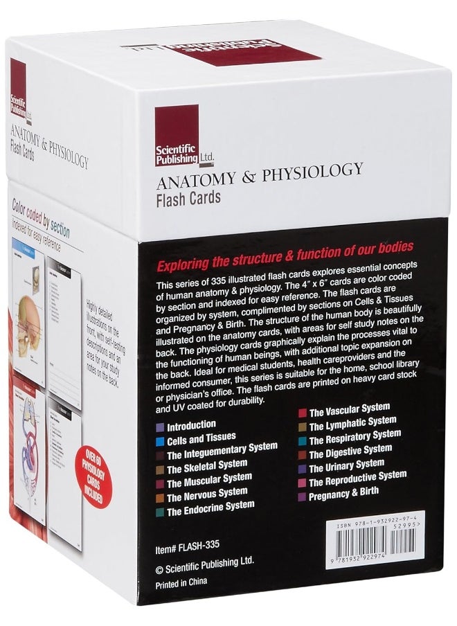 Anatomy & Physiology Flash Cards  - Image 3