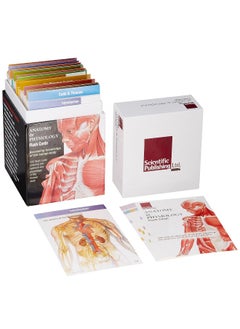 Anatomy & Physiology Flash Cards  - Image 1