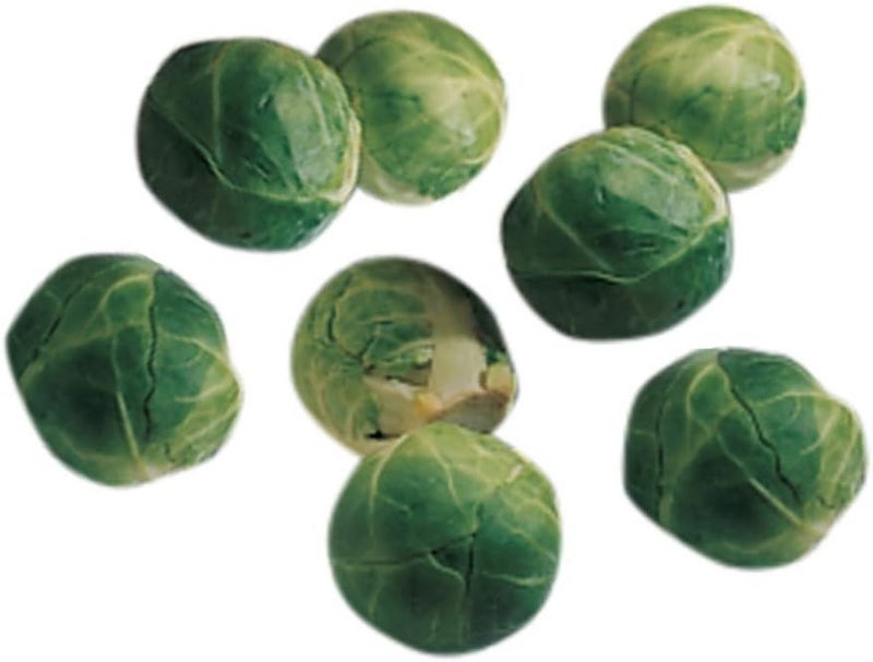 Burpee Catskill Heirloom Brussels Sprouts Seeds 100 seeds - Image 1