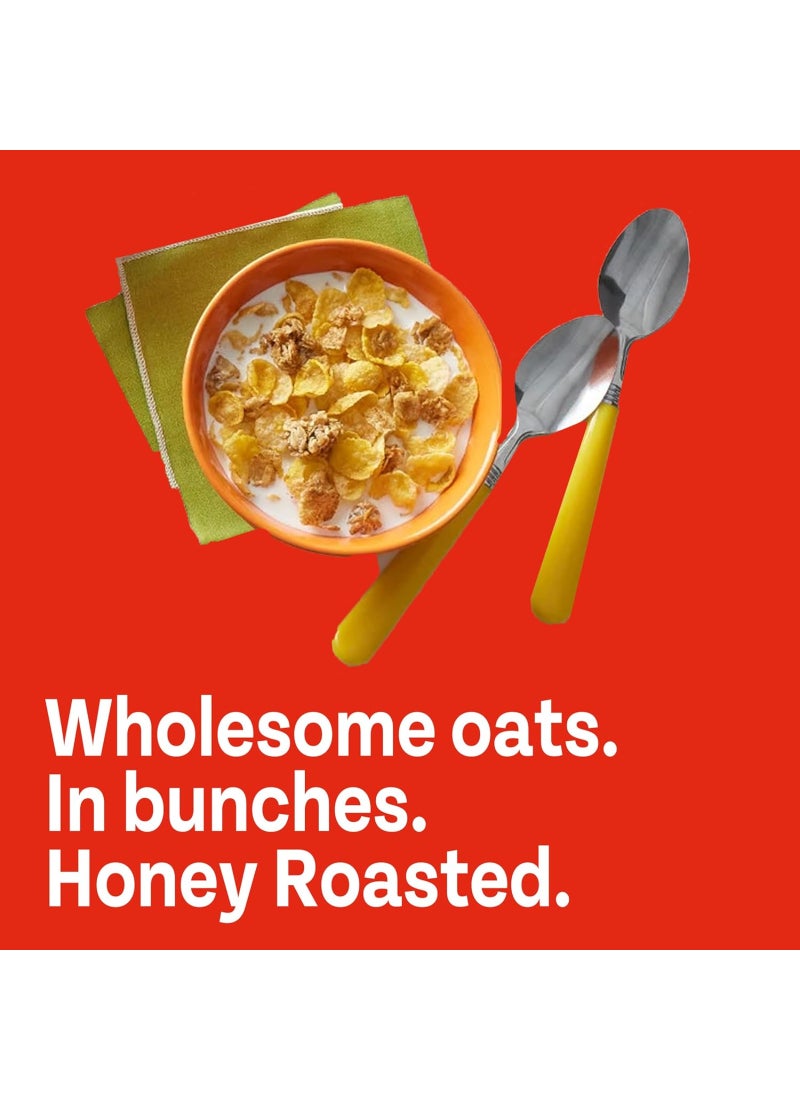 Post عسل مجموعة من الشوفان مع حبوب محمصة بالعسل - Image 5