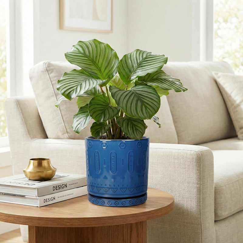 Eightpot Ceramic Planter, 6 Inch Plant Pot with Drainage Hole and Tray, Round Flower Pots for Indoor Outdoor Plants, Boho Decorative Pots for Plants, Bookshelf Decor, House Warming Gift, Blue - Image 4