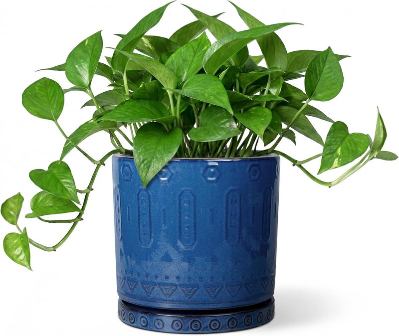 Eightpot Ceramic Planter, 6 Inch Plant Pot with Drainage Hole and Tray, Round Flower Pots for Indoor Outdoor Plants, Boho Decorative Pots for Plants, Bookshelf Decor, House Warming Gift, Blue - Image 1
