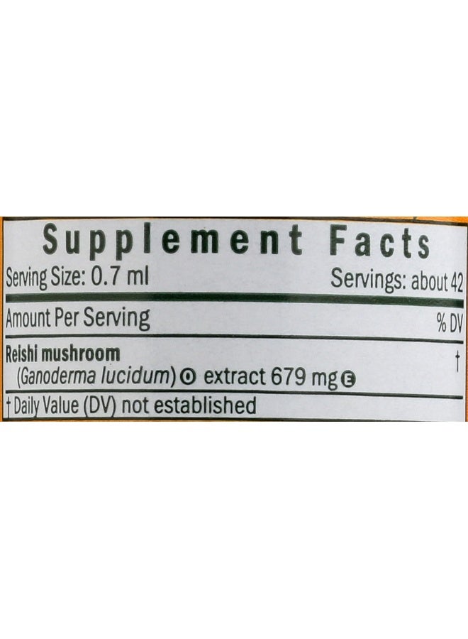 Herb Pharm Reishi Mushroom Liquid Extract Immune System Builder - 1 Ounce - Image 3