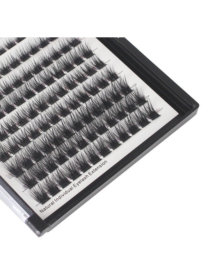 Dedila 120 Clusters Mixed 8 10 12 14Mm/10 12 14 16Mm Individual False Eyelashes Dramatic Look Wide Stem Natual Long Volume Eye Lashes Extensions Beauty Tools (Mixed 8 10 12 14Mm) - Image 4