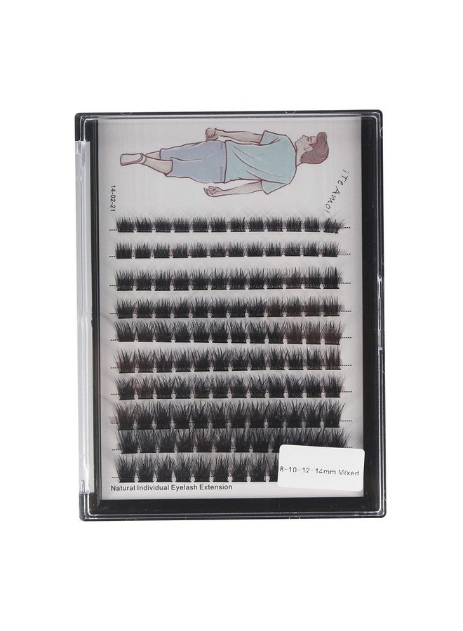 Dedila 120 Clusters Mixed 8 10 12 14Mm/10 12 14 16Mm Individual False Eyelashes Dramatic Look Wide Stem Natual Long Volume Eye Lashes Extensions Beauty Tools (Mixed 8 10 12 14Mm) - Image 2