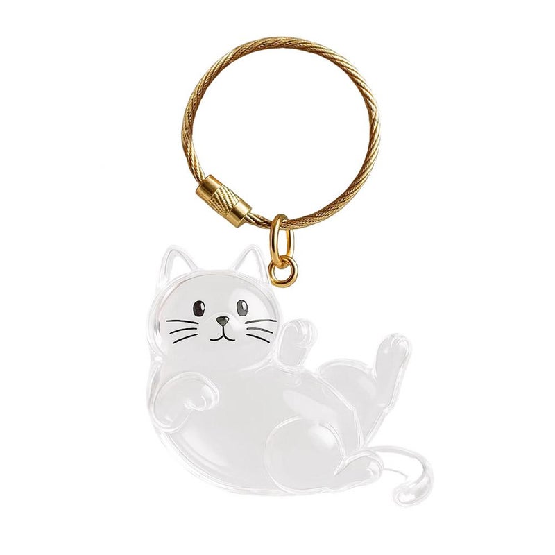 New cross-border product: Transparent cat hair storage box, capsule toy, keychain, commemorative item. - Image 2