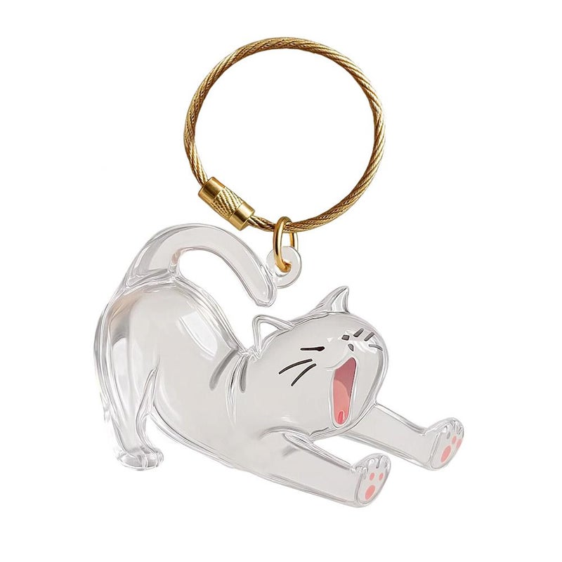 New cross-border product: Transparent cat hair storage box, capsule toy, keychain, commemorative item. - Image 3