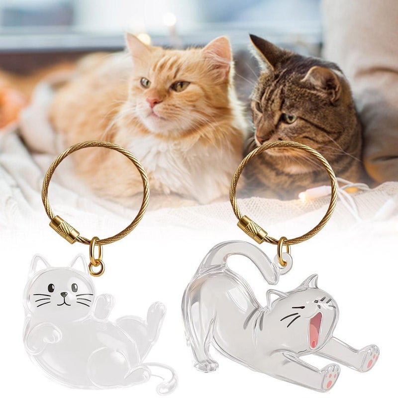 New cross-border product: Transparent cat hair storage box, capsule toy, keychain, commemorative item. - Image 5