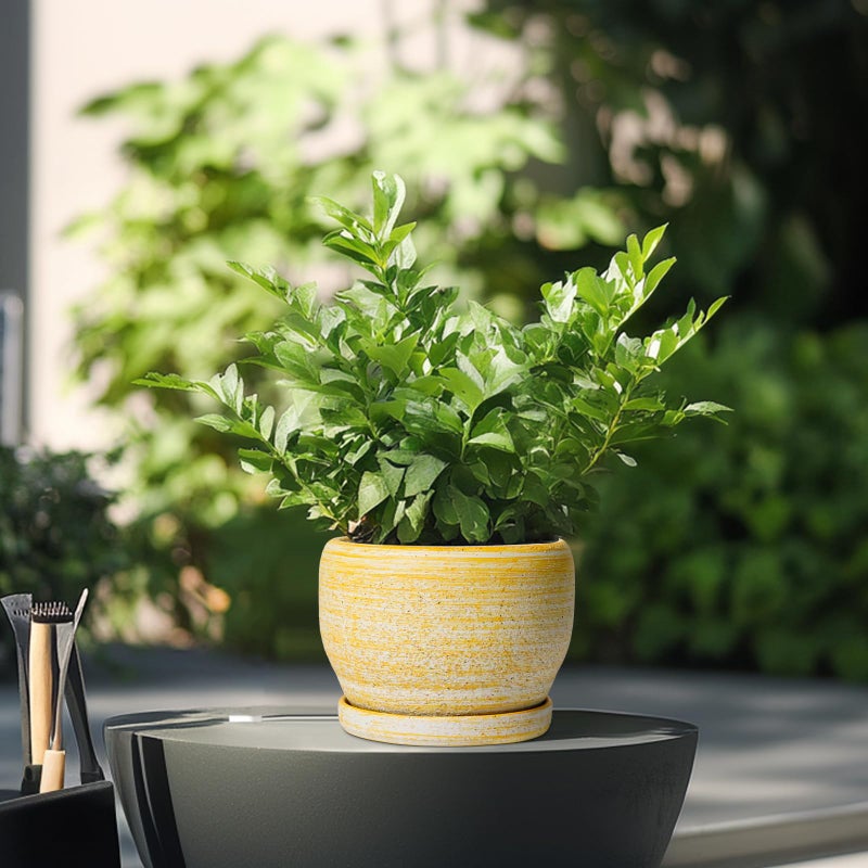Sqowl Ceramic Planter - 6 Inch Plant Pot Indoor With Drainage Hole And Saucer  Decorative Ceramic Flower Pot Outdoor  Round Succulent Planters  Home Office Bedroom Decor  Birthday Gifts  Yellow - Image 4