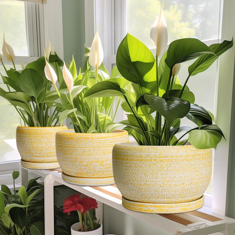 Sqowl Ceramic Planter - 6 Inch Plant Pot Indoor With Drainage Hole And Saucer  Decorative Ceramic Flower Pot Outdoor  Round Succulent Planters  Home Office Bedroom Decor  Birthday Gifts  Yellow - Image 5