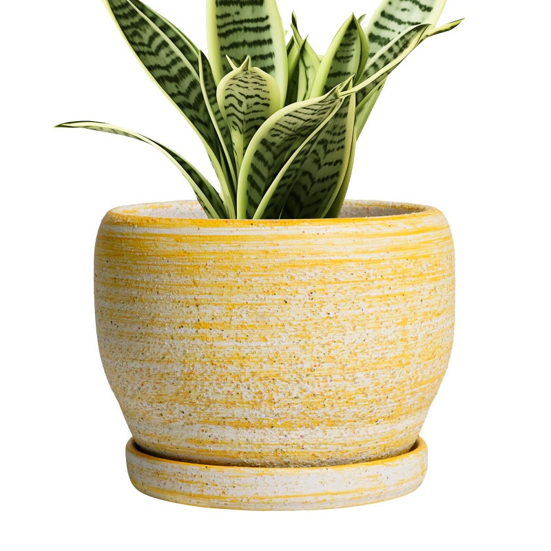 Sqowl Ceramic Planter - 6 Inch Plant Pot Indoor With Drainage Hole And Saucer  Decorative Ceramic Flower Pot Outdoor  Round Succulent Planters  Home Office Bedroom Decor  Birthday Gifts  Yellow - Image 1