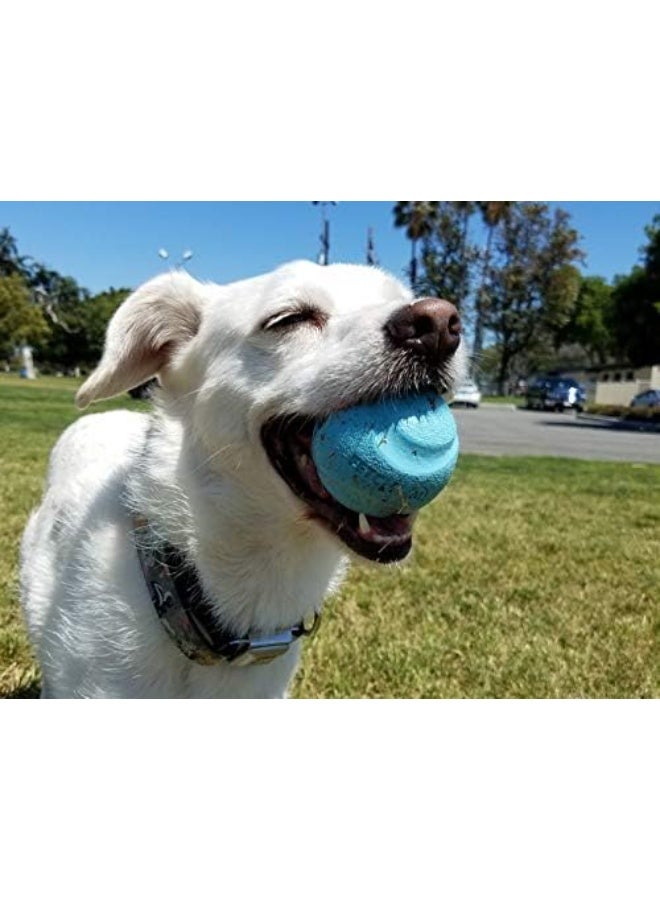 Chuckit! Chuckit Gen 1 Fetch Pack Dog Balls - Interactive Dog Toys, High-Bounce Fetch Ball, Floating Ultra and Rugged Balls, Durable - Size Medium, 2.5-inch Diameter, Set of 3 - Image 4