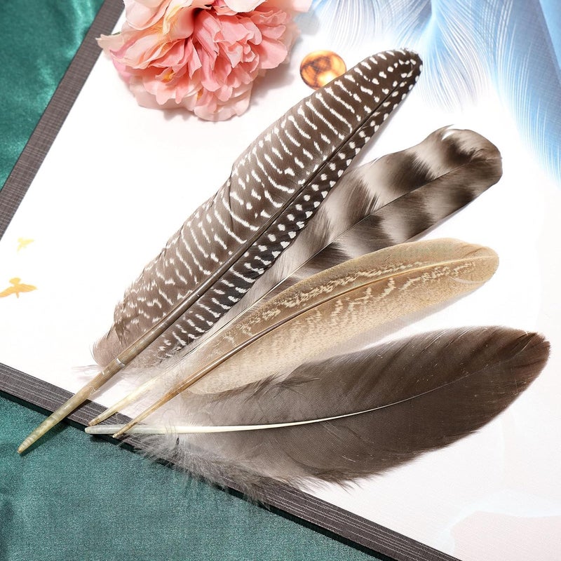 THARAHT 24pcs 4Style Natural Spotted Feathers Guinea Fowl Wing Feathers 6-8 inch Bulk for Craft Clothing Jewelry DIY Decoration Guinea Fowl Wing Feathers - Image 5