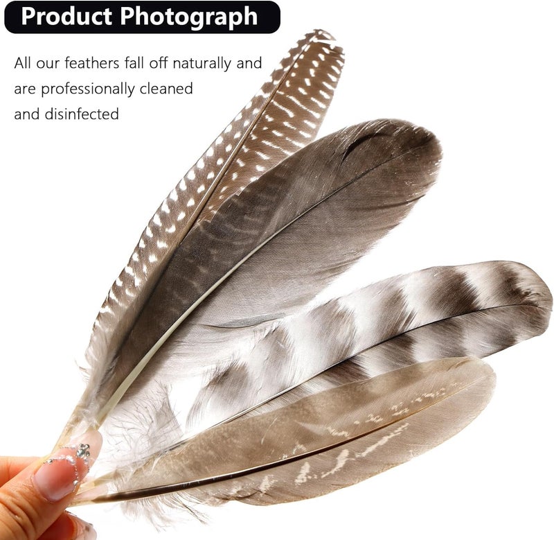 THARAHT 24pcs 4Style Natural Spotted Feathers Guinea Fowl Wing Feathers 6-8 inch Bulk for Craft Clothing Jewelry DIY Decoration Guinea Fowl Wing Feathers - Image 3
