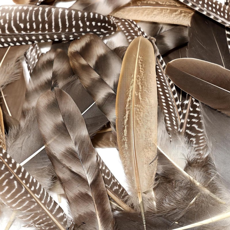 THARAHT 24pcs 4Style Natural Spotted Feathers Guinea Fowl Wing Feathers 6-8 inch Bulk for Craft Clothing Jewelry DIY Decoration Guinea Fowl Wing Feathers - Image 4