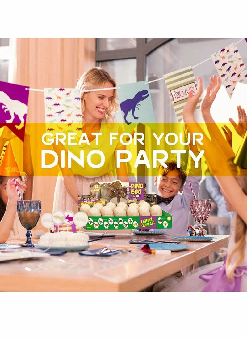 Archaeological excavation toys 12 Different Fossil/Eggs with 12 Excavation Kits,Excavation Educational Science Gifts for Kids Party Archaeology Paleontology Toy (Dinosaur Eggs) - Image 3