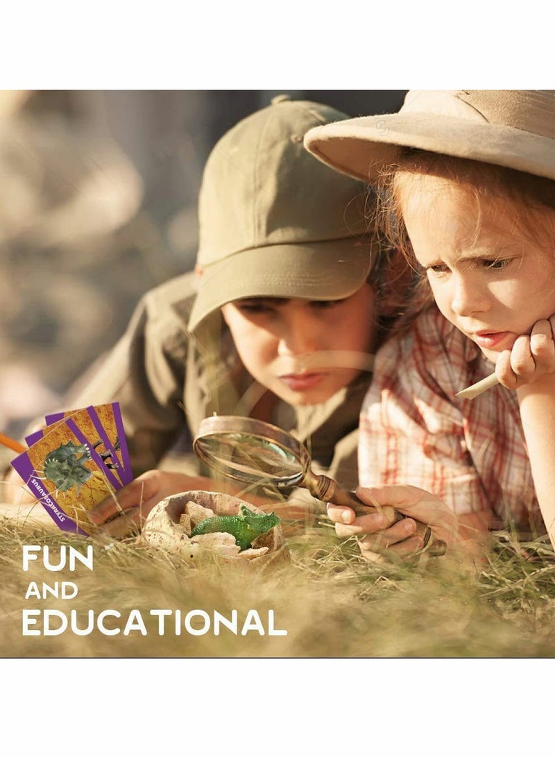 Archaeological excavation toys 12 Different Fossil/Eggs with 12 Excavation Kits,Excavation Educational Science Gifts for Kids Party Archaeology Paleontology Toy (Dinosaur Eggs) - Image 2