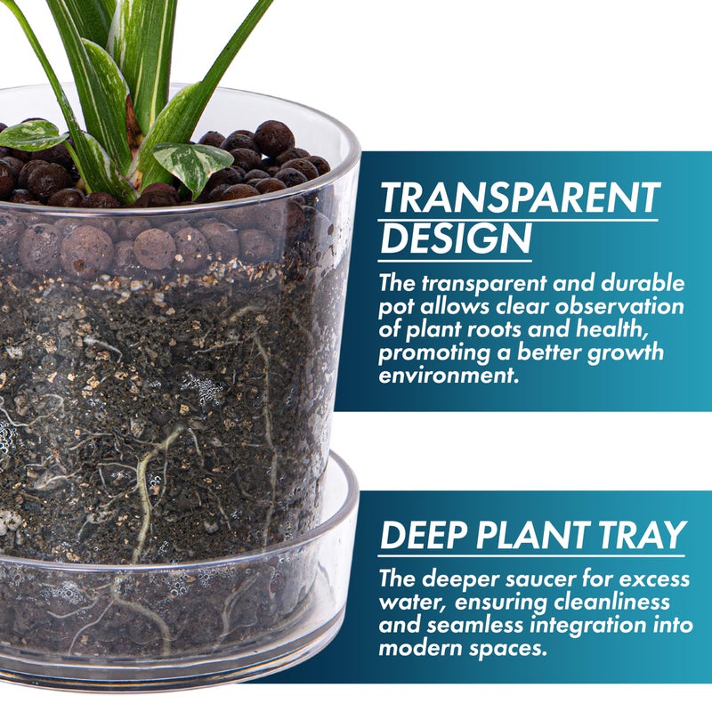Phoenix Vine 3.5 Inch 4.5 Inch Clear Acrylic Houseplants Planter Pot with Tray, Orchid Pot with Drainage Holes, Deep Saucer for Bottom Watering, Transparent Containers for Indoor Plants, Herbs, 91-B-V - Image 4