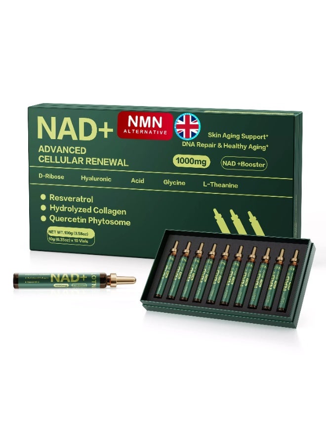 مكمل NAD+ لدعم الطاقة الخلوية - Image 1