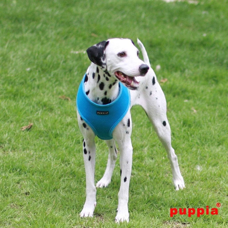 Puppia Soft Dog Harness - No Choke Over-The-Head Design with Adjustable Chest Belt and Quick-Release Buckle, Sky Blue, XX-Large - Image 3