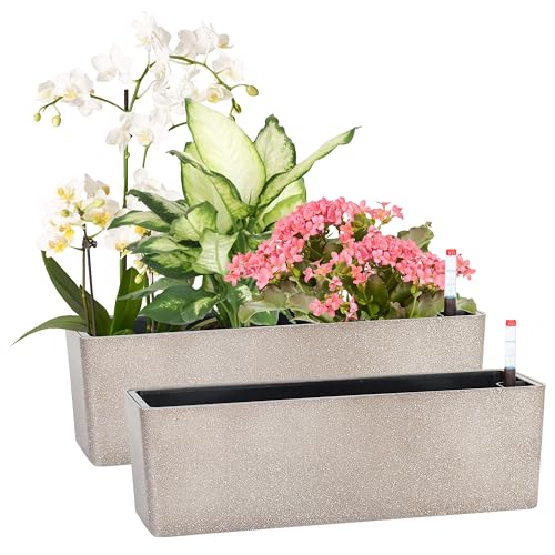 GardenBasix Elongated Self Watering Planter Pots 2Pack Window Box 55 x 16 inch Indoor Home Garden Modern Decorative Pot for All House Plants Flowers Herbs Coffee2