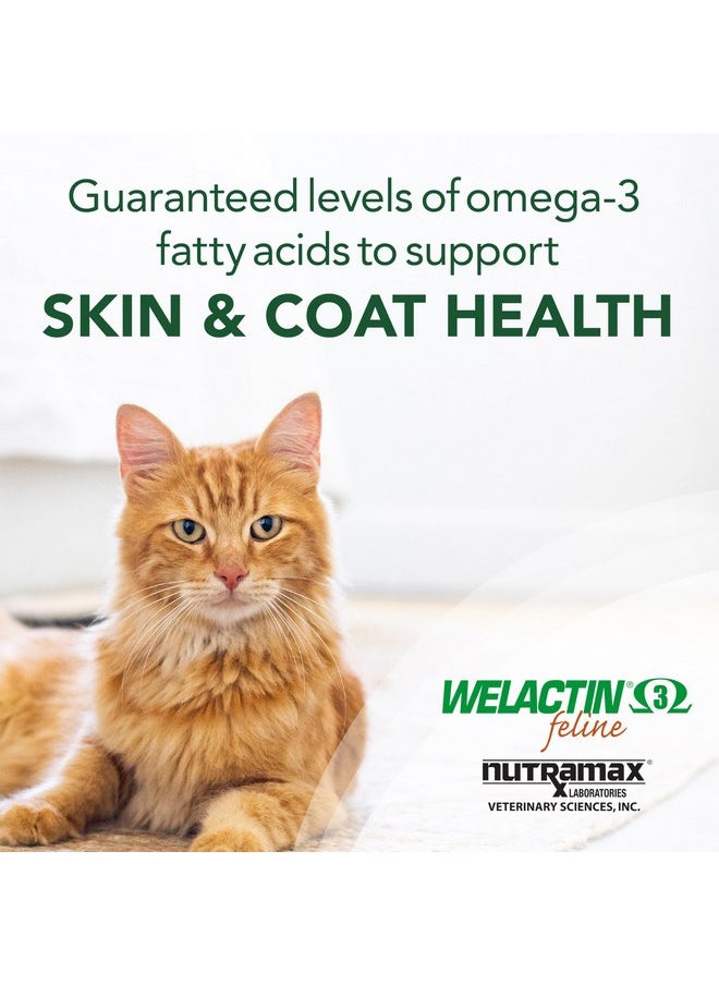 Nutramax Laboratories Nutramax Welactin Omega-3 Fish Oil Skin and Coat Health Supplement Liquid for Cats - 4 Ounce  - Image 5