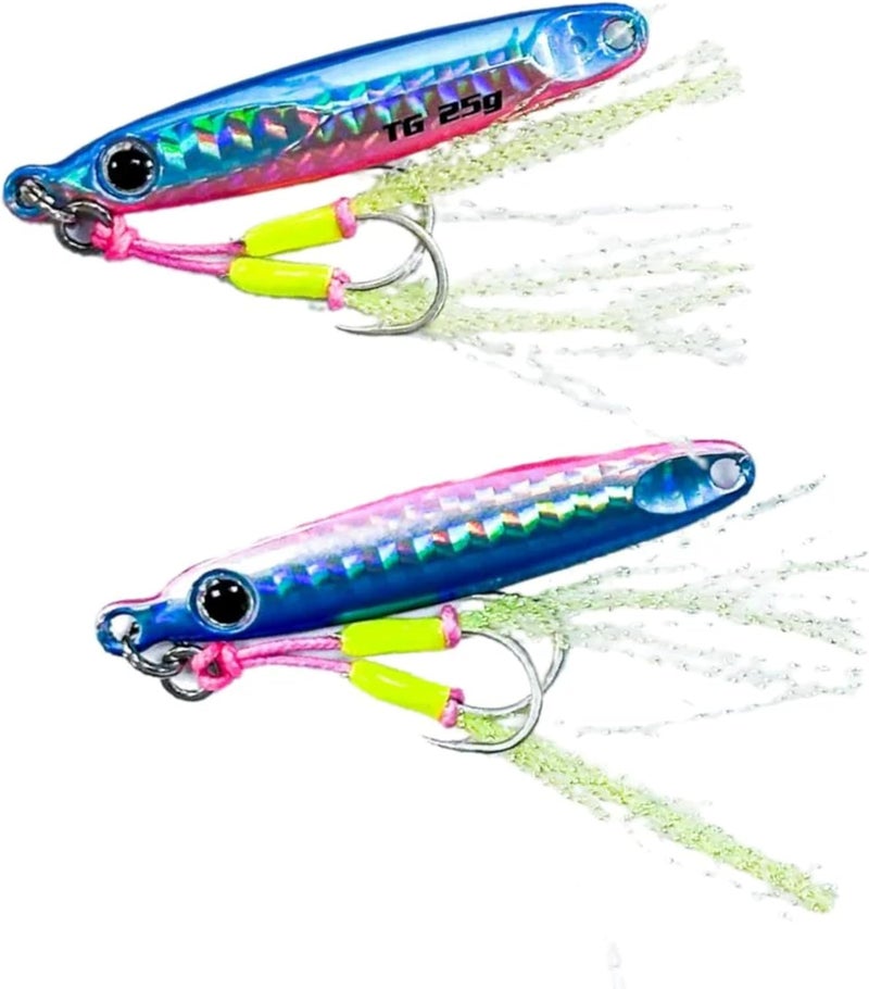 JIGGAT Tungsting I Jigs - Premium Tungsten Fishing Lure (25g, Blue)