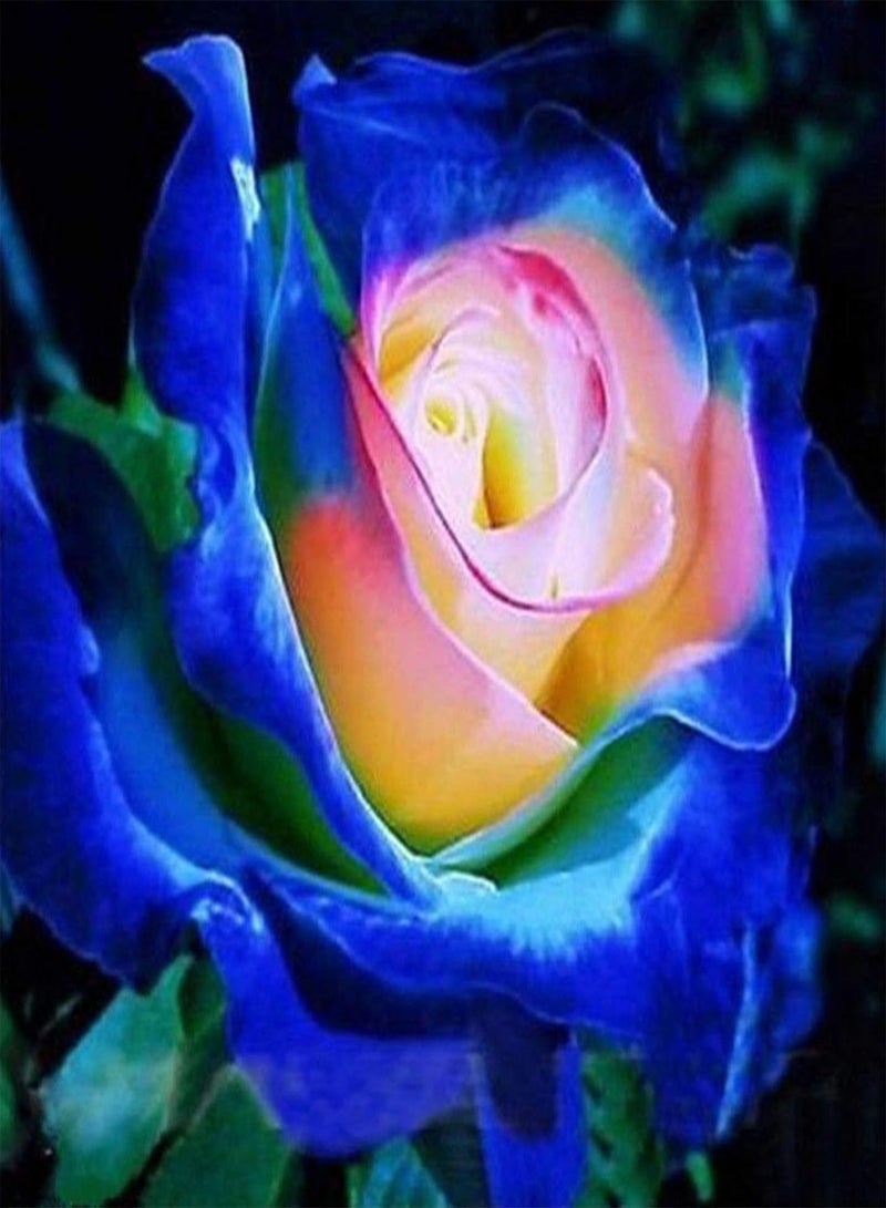 جي جوت بذور 100 قطعة من بذور زهرة الورد المختلطة للزراعة الداخلية والخارجية في الحديقة والفناء نباتات طازجة سهلة النمو بذور مزيج الألوان - Image 2