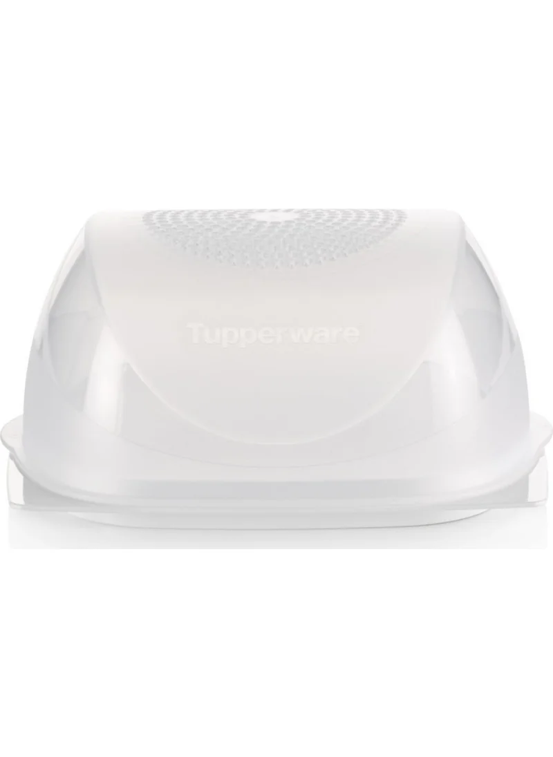 Tupperware Middle Cheese World ( Cheese Storage Container )