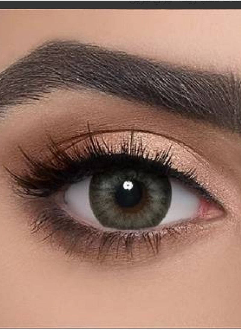 Dahab Gray contact lenses for 6 months 