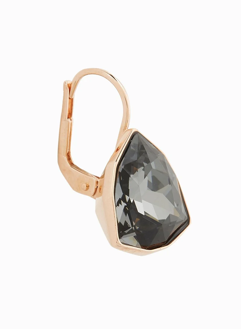 SWAROVSKI Brief Earrings