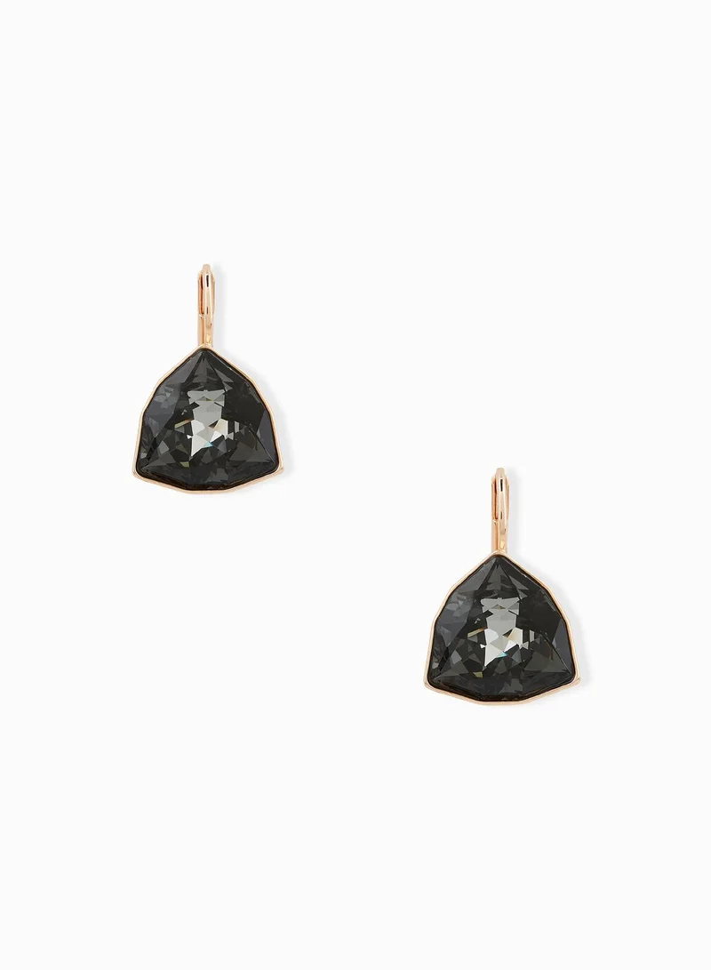 SWAROVSKI Brief Earrings