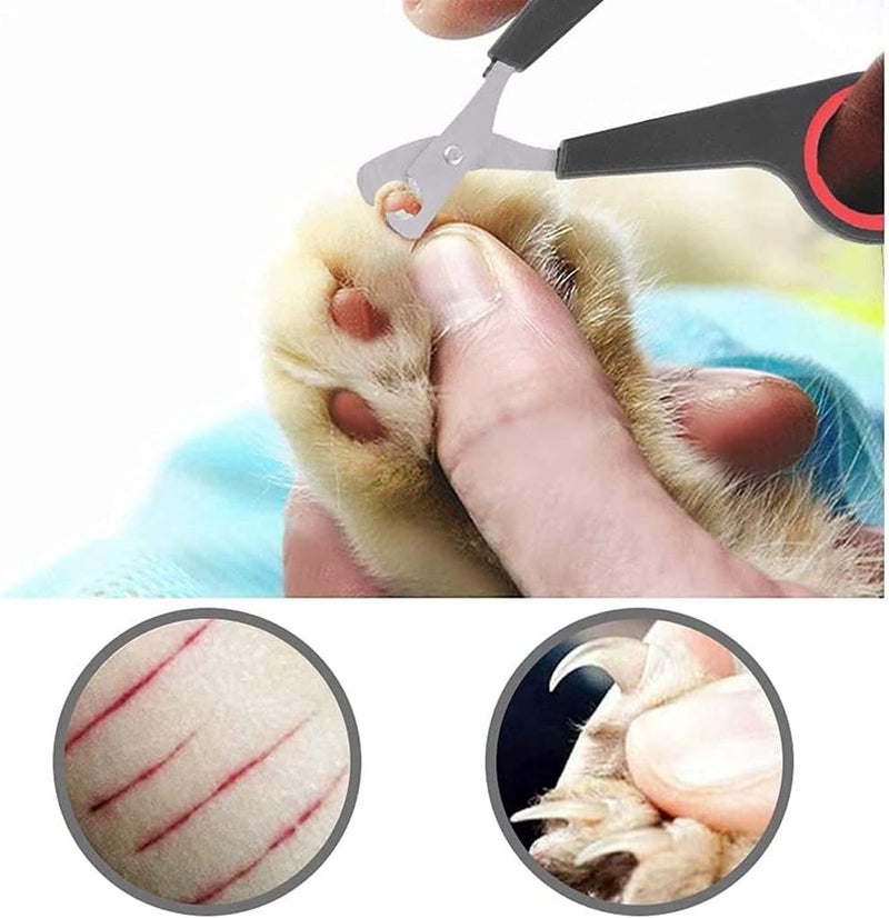 Bird Nail Clipper for Small Pets - Image 2