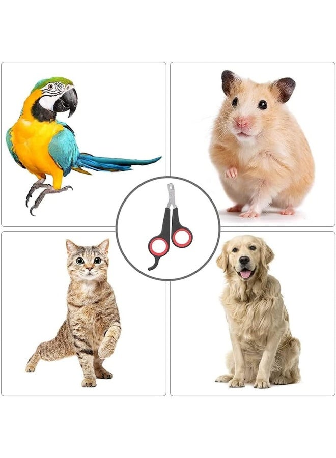Bird Nail Clipper for Small Pets - Image 3