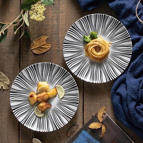 AYFDISHS 6" Appetizer Plates Set of 6, Black and White Striped Ceramic Dessert Plates, Zebra Pattern Dinner Plates Set for Salad Sandwiches, Minimalist Porcelain Dish Set, Microwave & Dishwasher Safe - Image 4