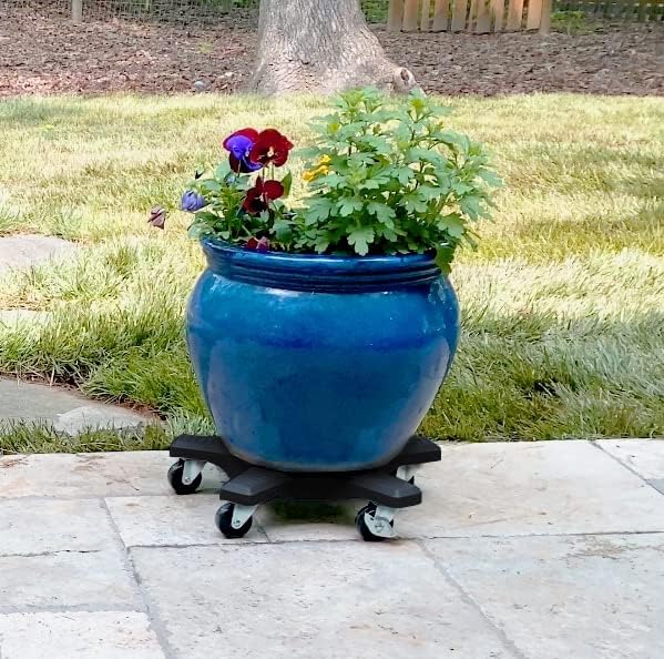 Bosmere Down Under Plant Caddie Heavy Duty Plant Stand with Wheels 500 lb Capacity 14Inch Charcoal - Image 2