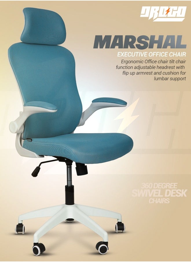 DROGO - DROGO premium Ergonomic Office Chair for Work from Home, High Back Computer Chair with Mesh, Flip-up Armrest, Recline, Adjustable Seat & Lumbar Support Mesh Chair for Office - Image 1