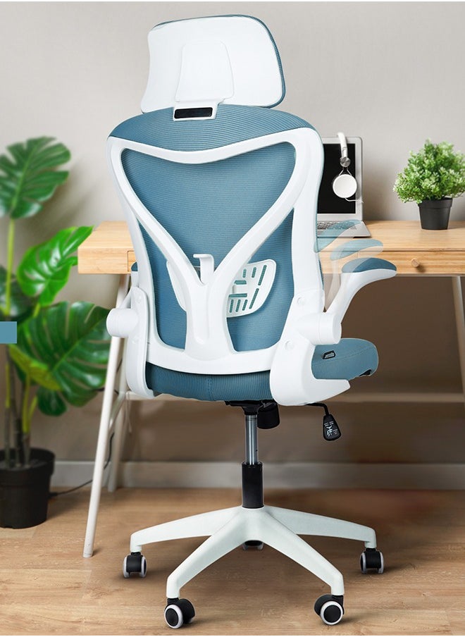 DROGO - DROGO premium Ergonomic Office Chair for Work from Home, High Back Computer Chair with Mesh, Flip-up Armrest, Recline, Adjustable Seat & Lumbar Support Mesh Chair for Office - Image 1