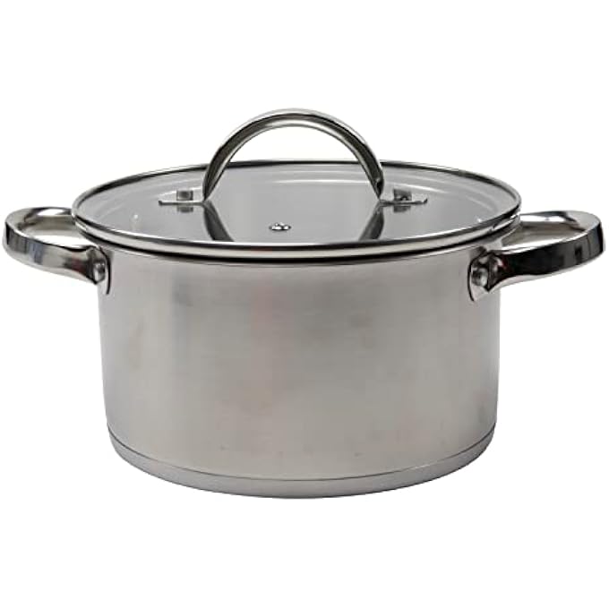 قدر من الفولاذ المقاوم للصدأ 20 سم مع غطاء زجاجي فضي