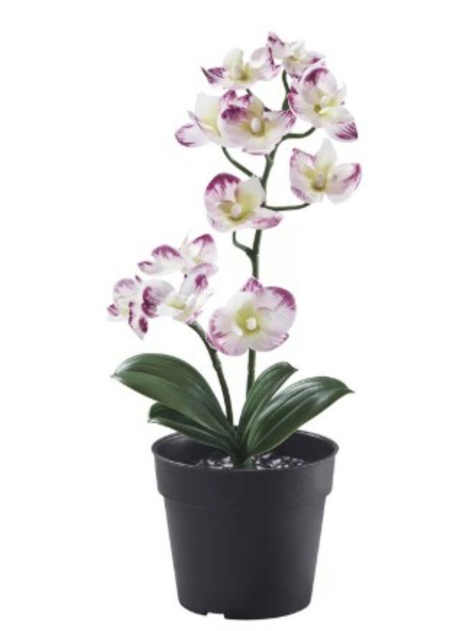 IKEA (IKEA) Artificial potted plant, in/outdoor Orchid/light purple, 9 cm  - Image 1