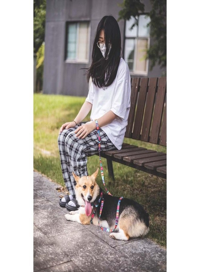 M-PETS Urban Style Jazz Stripes Dog Leash, 120cm Durable Eco-Friendly Pet Leash, Sturdy Nylon Buckles, Washable, Lightweight, Safe for Training, Walking, Daily Use, for Small Dogs, Small - Image 2