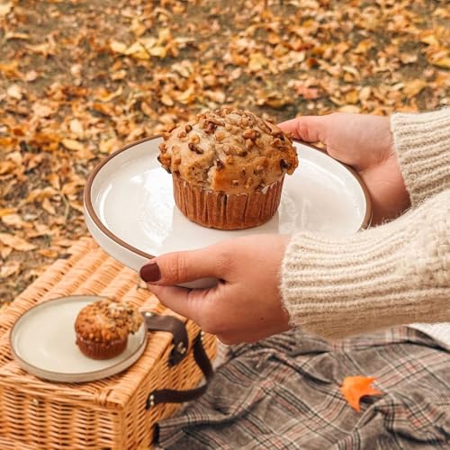 Mora Ceramic Flat Plates Set of 6-8 in - The Dessert, Salad, Appetizer, Small Lunch, etc Plate. Microwave, Oven, and Dishwasher Safe, Scratch Resistant. Kitchen Porcelain Dish - Vanilla White - Image 5
