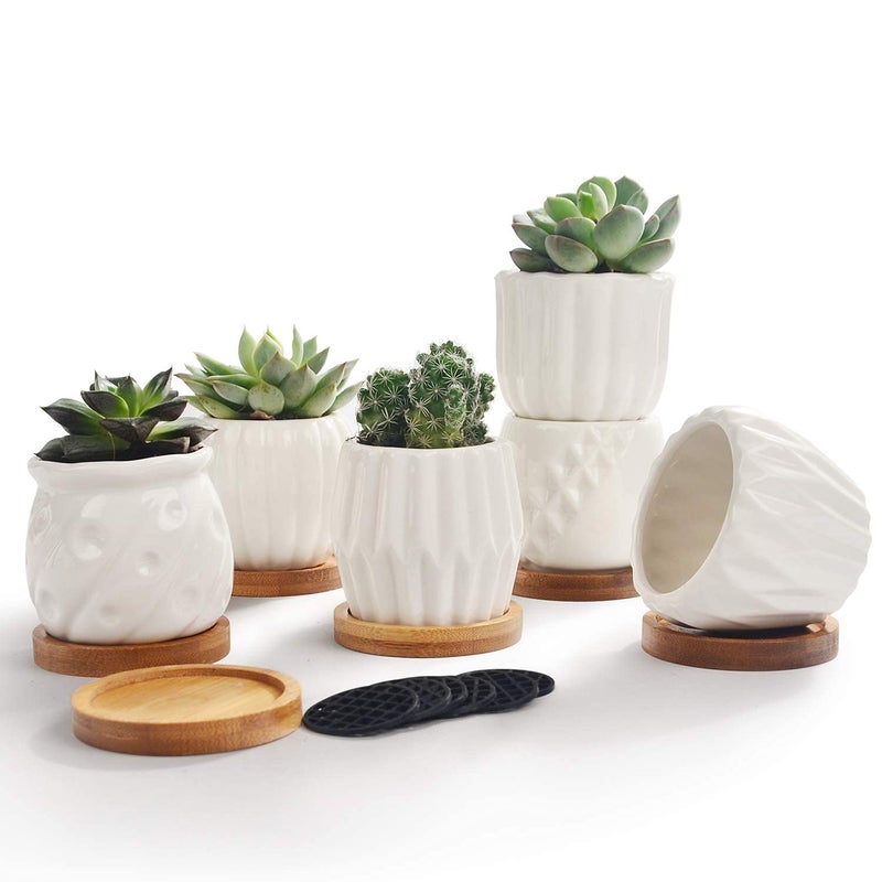 B SEPOR Set of 6 White Simple Porcelain Planters for Small Plant Pots Baby Succulent Cactus with Drainage and Saucer for Home Office Decoration Gift(White Stripes) - Image 1