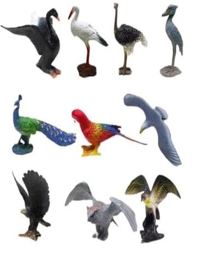 JBM ENTERPRISE Realistic Bird Animal Figurines - Peacock, Parrot, Eagle, Swan, Ostrich, Stork, Seagull & More Miniature Plastic Toys for Kids Learning, School Projects, Home Decoration & Collectibles(set of 10pcs) - Image 1