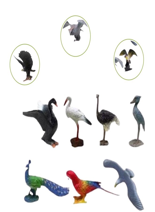 JBM ENTERPRISE Realistic Bird Animal Figurines - Peacock, Parrot, Eagle, Swan, Ostrich, Stork, Seagull & More Miniature Plastic Toys for Kids Learning, School Projects, Home Decoration & Collectibles(set of 10pcs) - Image 5