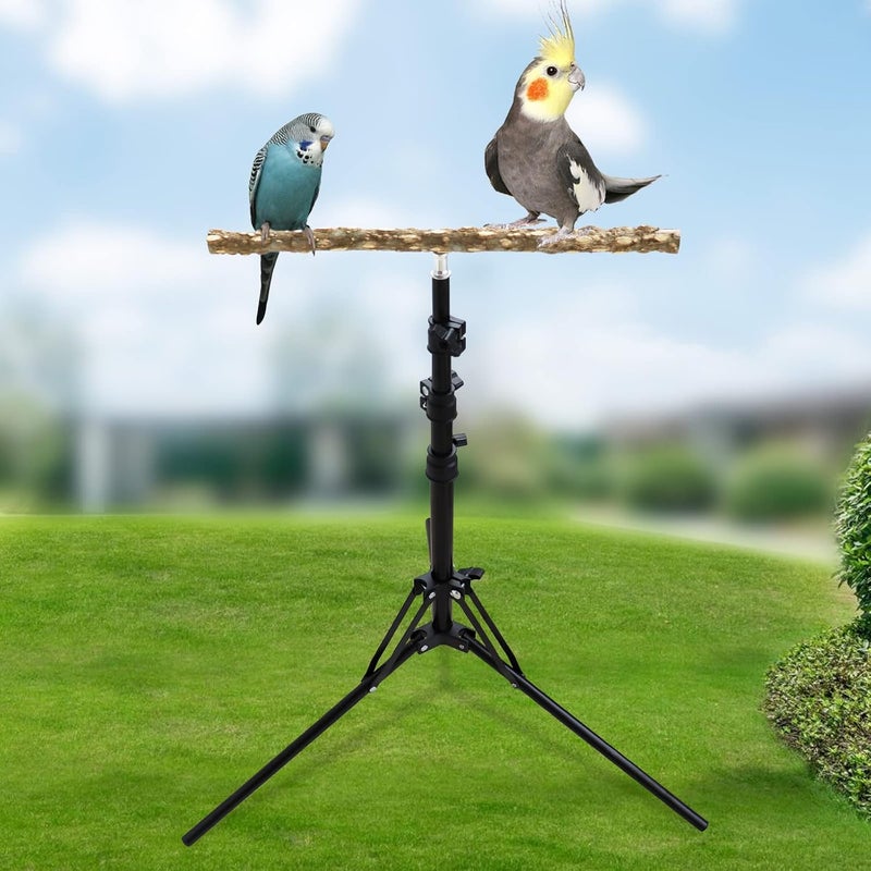 Oooct 16-63 Inch Height Adjustable Bird Perch Stand, Natural Pepper Wood Parrot Perch Toy, Bird Training Perch Stand, Indoor and Outdoor Bird Stands for Small to Medium Bird - Image 4
