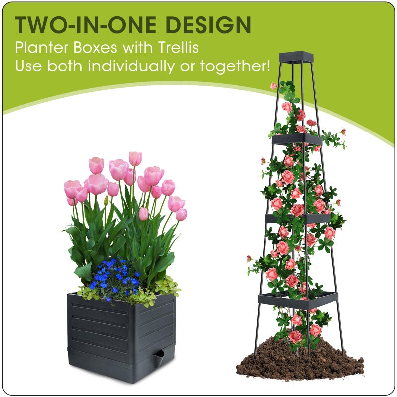 MQFORU Raised Garden Bed, 57" Tomato Planter with Trellis, Tomato Cages for Climbing Vegetables Plant, Self Watering Tomato Support Box for Garden Pots, Use for Patios Greenhouse Indoor Outdoorï¼ˆ1Pcï¼‰ - Image 5