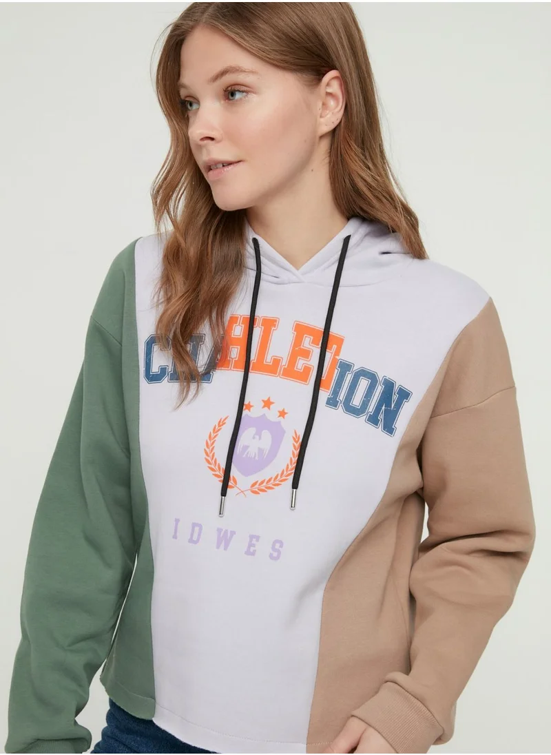 trendyol Colorblock Knitted Hoodie