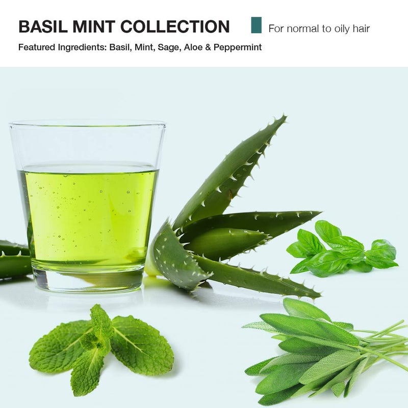 MOP Basil Mint Revitalizing Shampoo for Normal to Dry Hair  Controls Oil NonDrying Hair  Scalp Cleanser  Adds Shine - Image 3